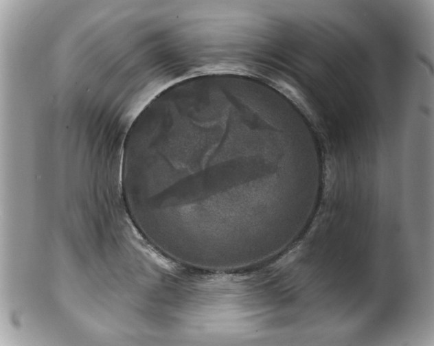 X0000100841228200806201143