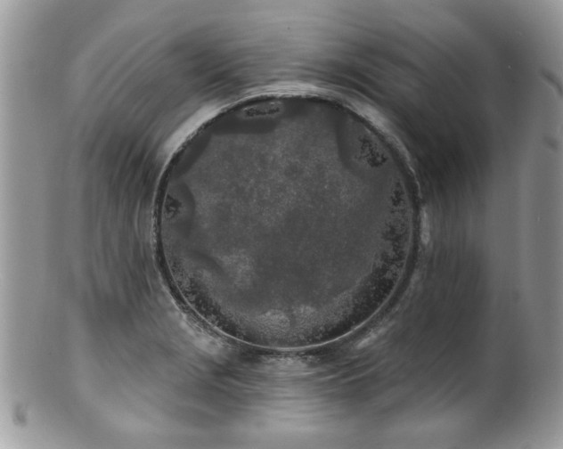 X0000100841229200806201143