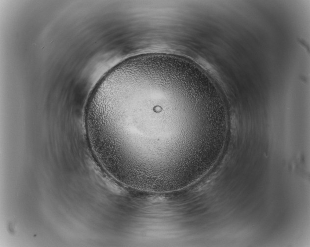 X0000100841230200806201143