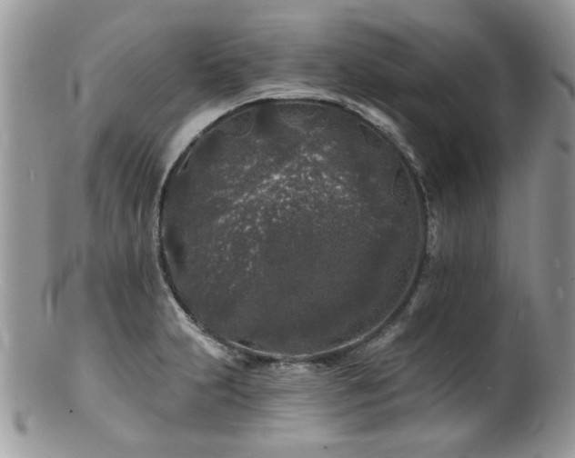 X0000100841231200806201143