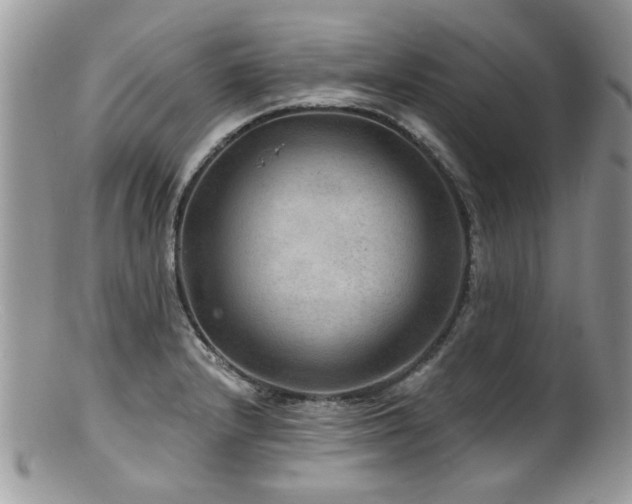 X0000100841232200806201143