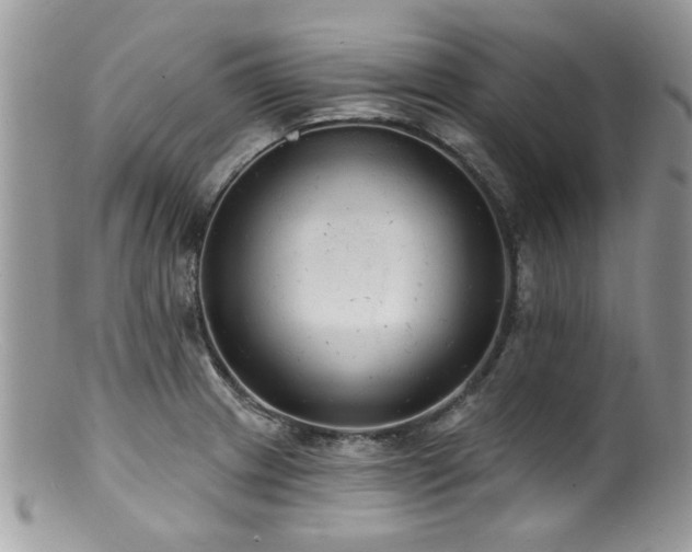 X0000100841233200806201143