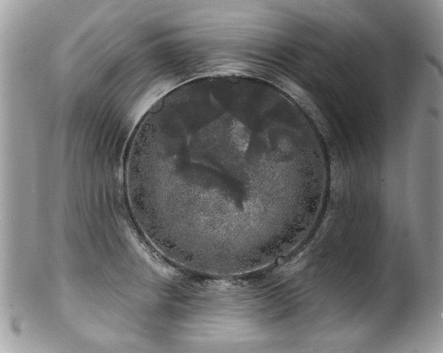 X0000100841234200806201143