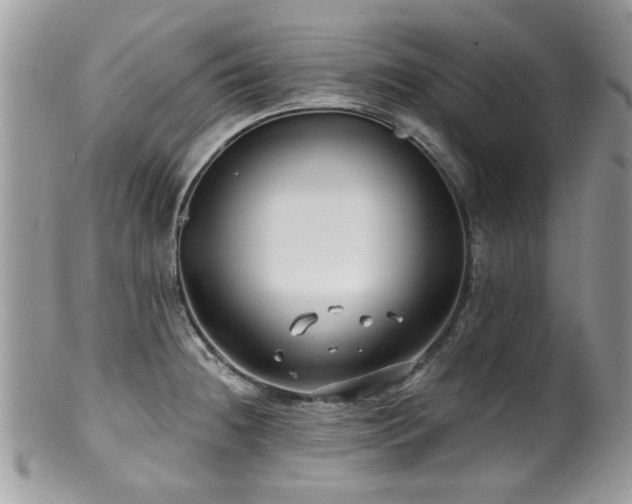 X0000100841236200806201143