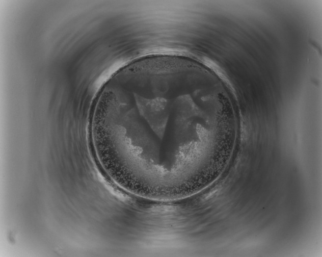 X0000100841237200806201143