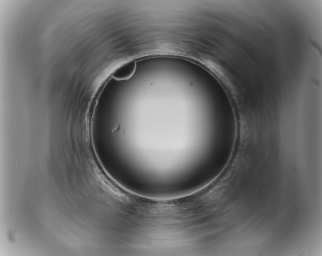 X0000100841238200806201143