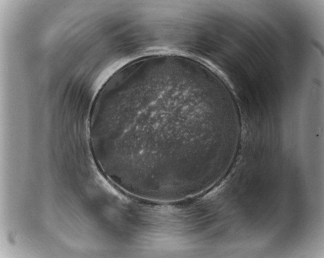 X0000100841239200806201143