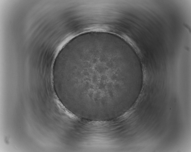 X0000100841240200806201143