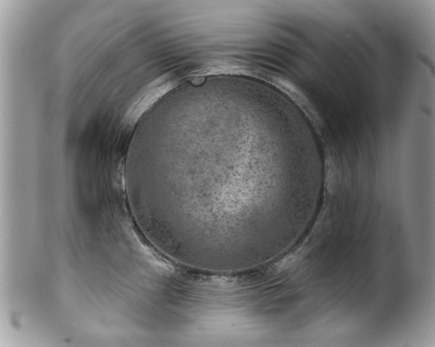 X0000100841241200806201143