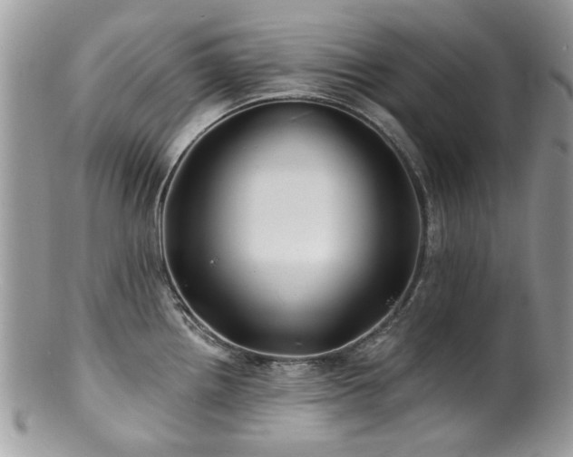 X0000100841242200806201143