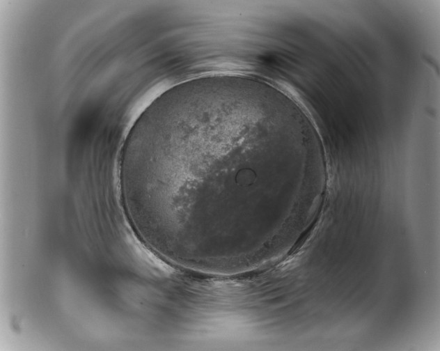 X0000100841243200806201143