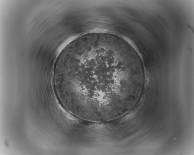 X0000100841245200806201143