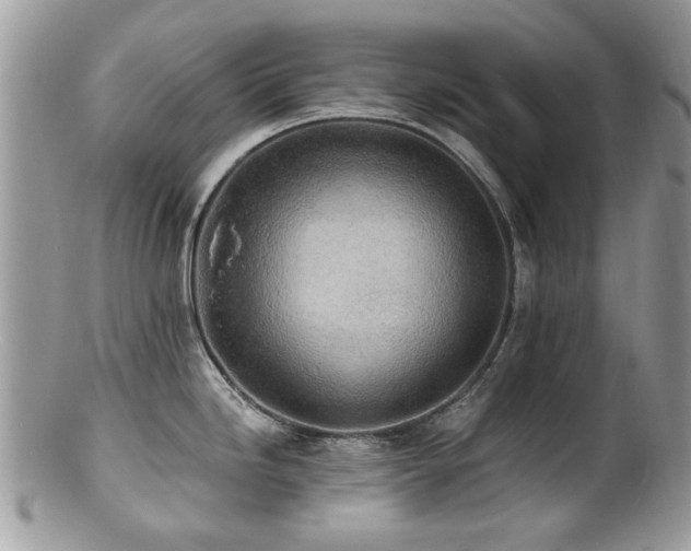 X0000100841246200806201143