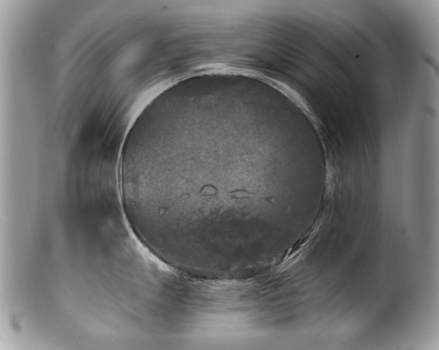 X0000100841247200806201143