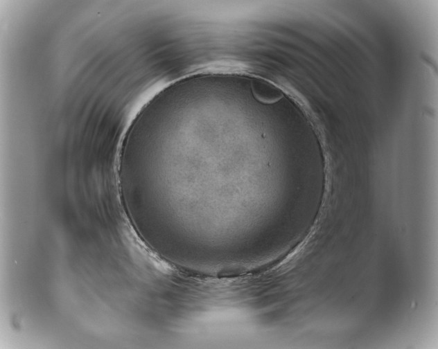 X0000100841248200806201143