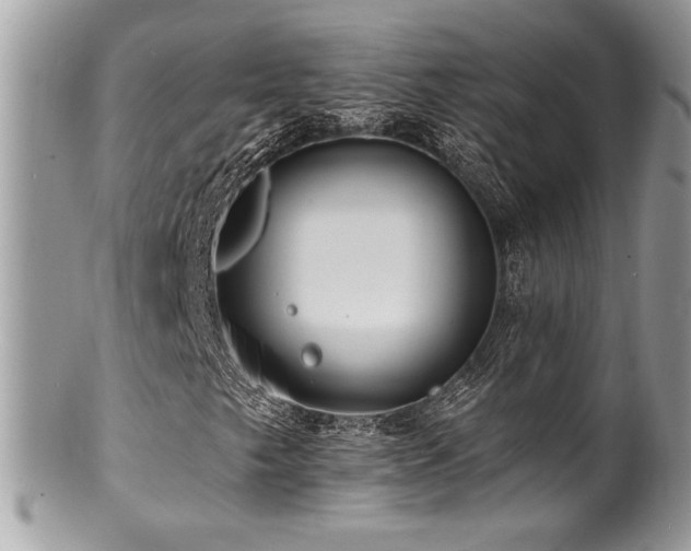 X0000100841249200806201142