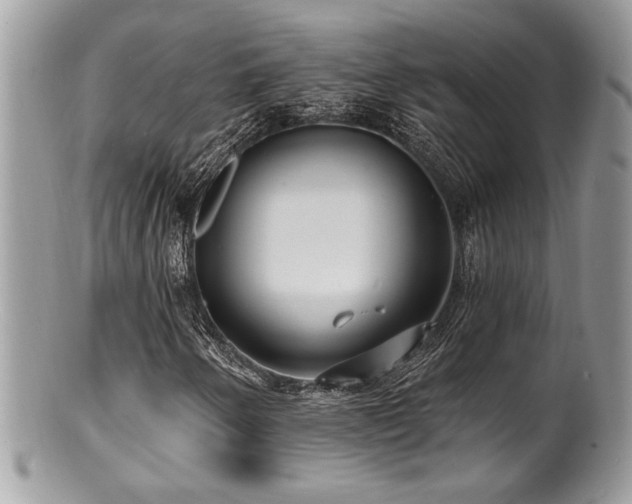 X0000100841250200806201142