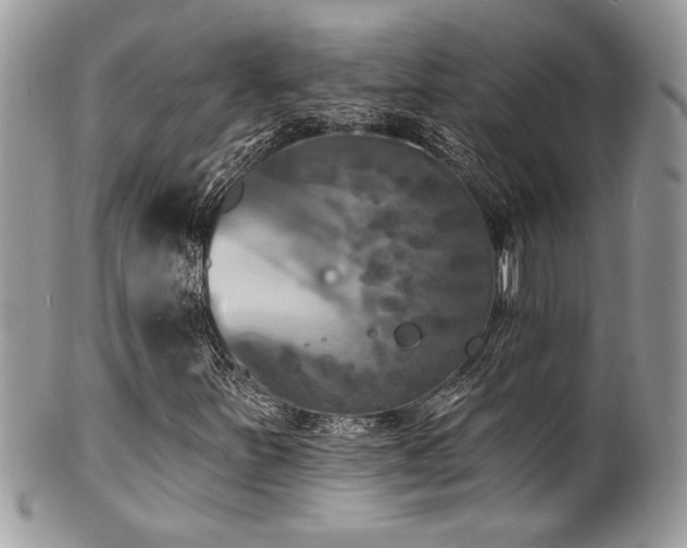 X0000100841251200806201142