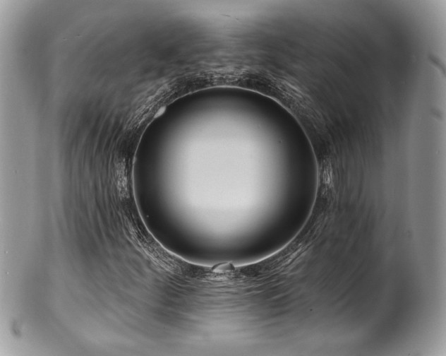 X0000100841252200806201142