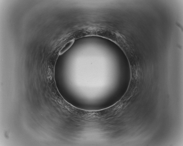 X0000100841253200806201142