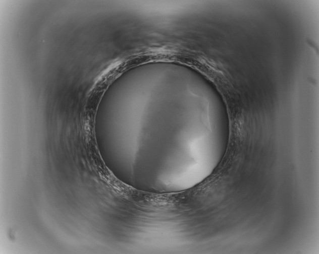 X0000100841254200806201142