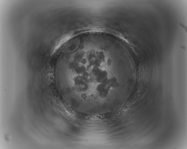 X0000100841255200806201142