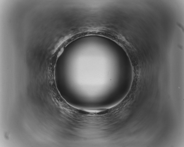 X0000100841256200806201142