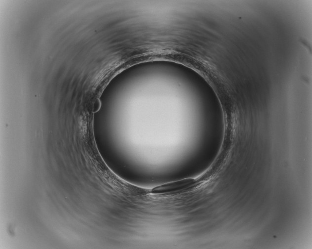 X0000100841257200806201142