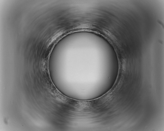 X0000100841258200806201142