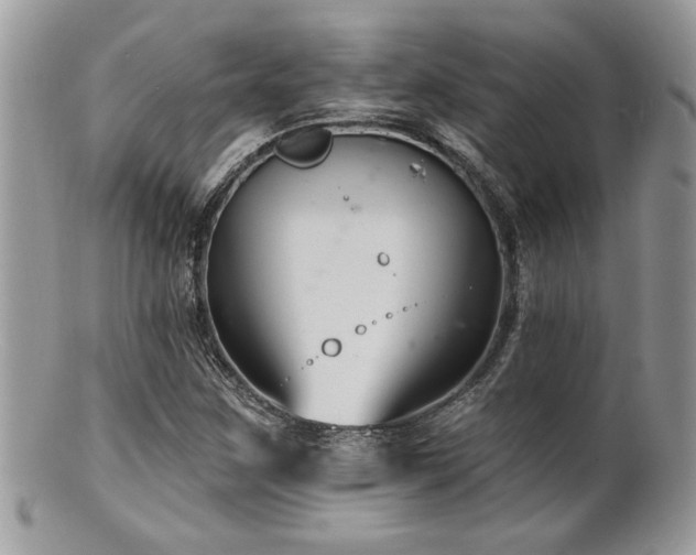 X0000100841259200806201142