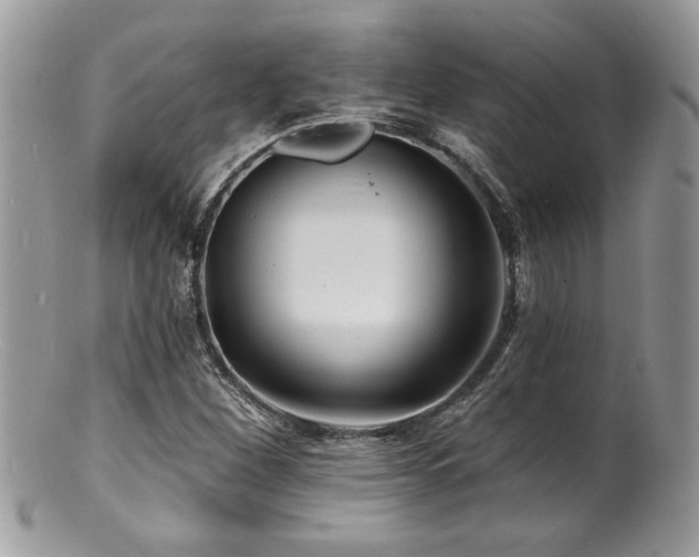 X0000100841260200806201142