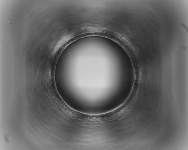 X0000100841261200806201142