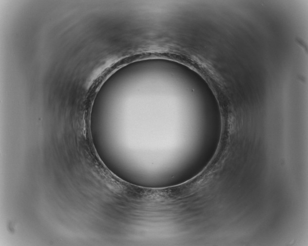 X0000100841262200806201142