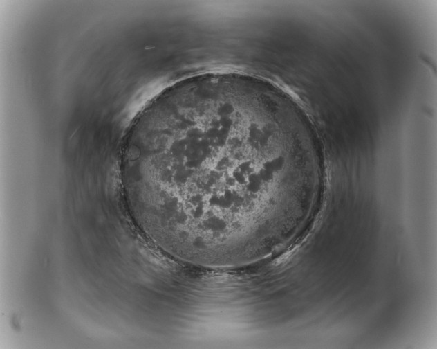 X0000100841263200806201142