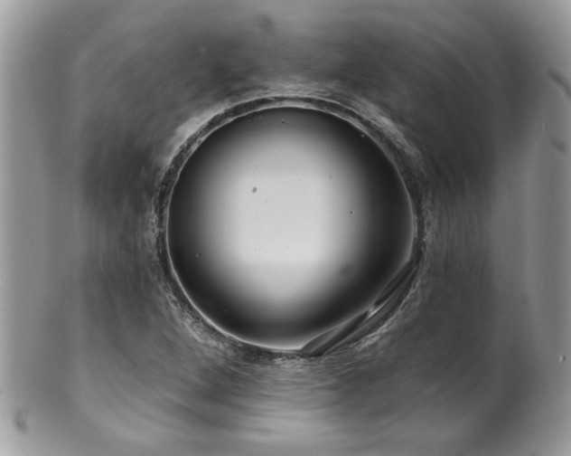 X0000100841264200806201142