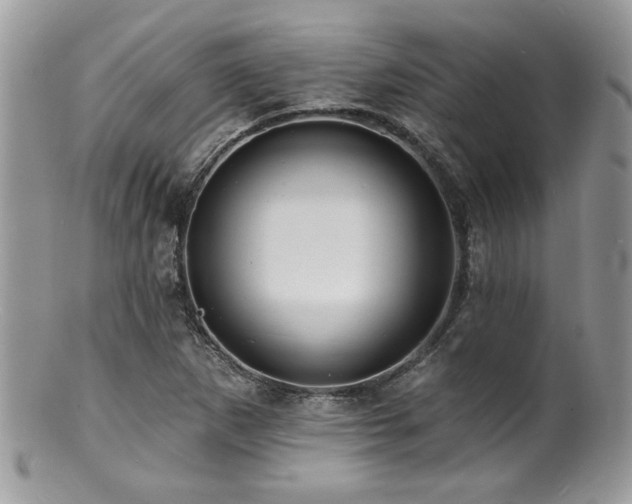 X0000100841265200806201142