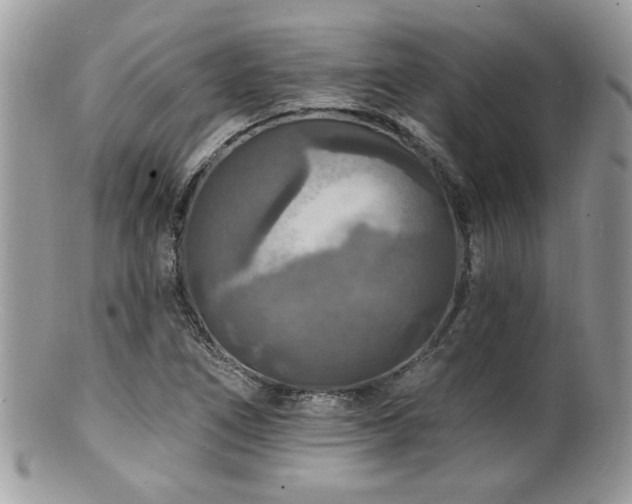 X0000100841266200806201142