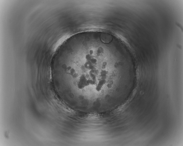 X0000100841267200806201142