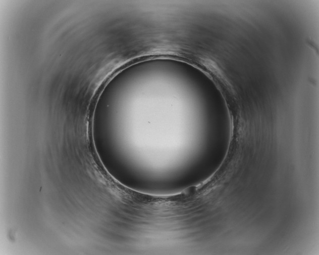 X0000100841268200806201142