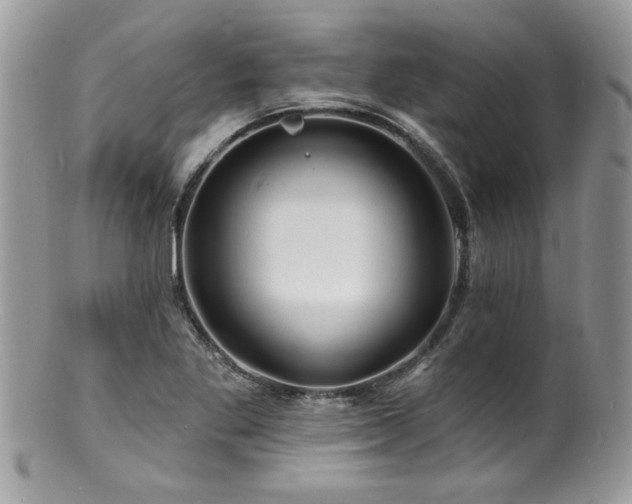 X0000100841269200806201142