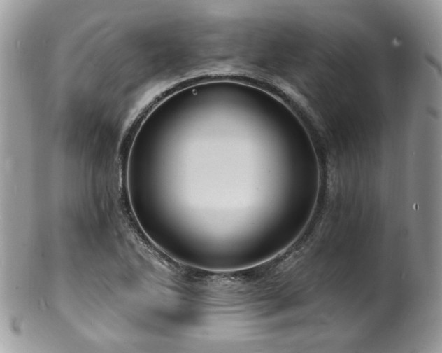 X0000100841270200806201142