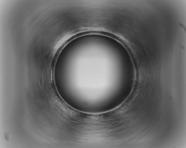 X0000100841271200806201142