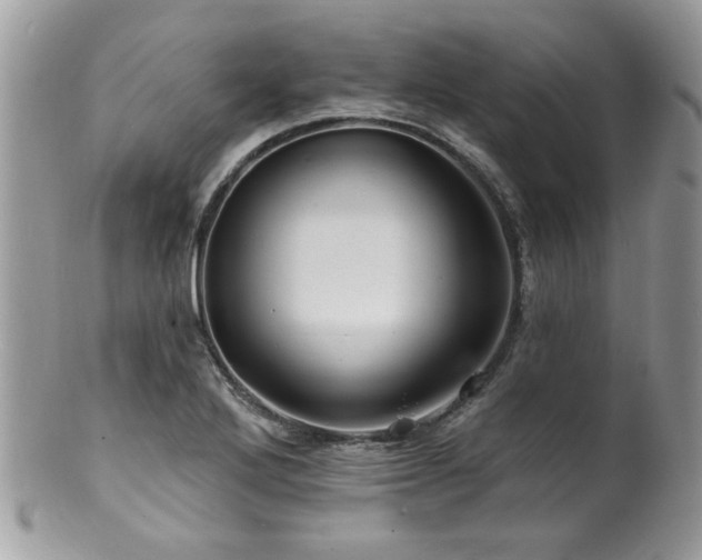 X0000100841272200806201142