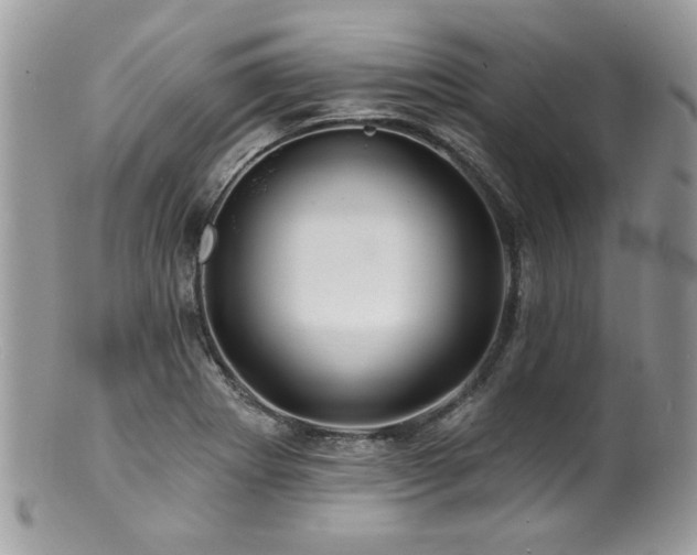 X0000100841273200806201142