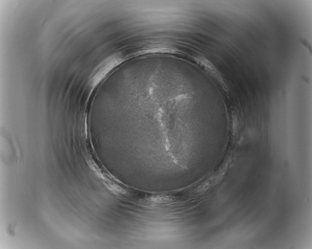 X0000100841274200806201142