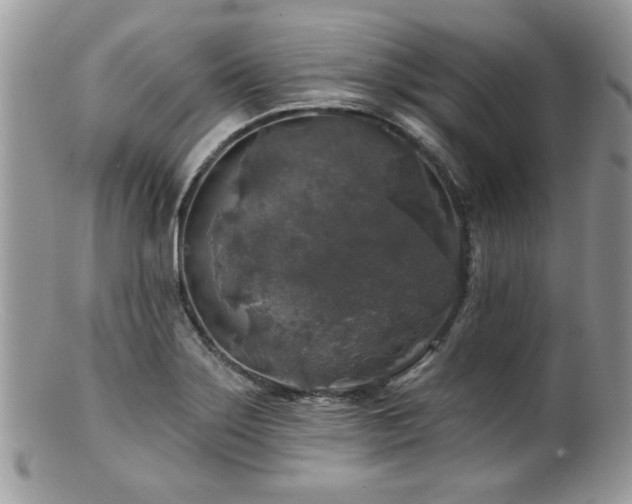 X0000100841275200806201142