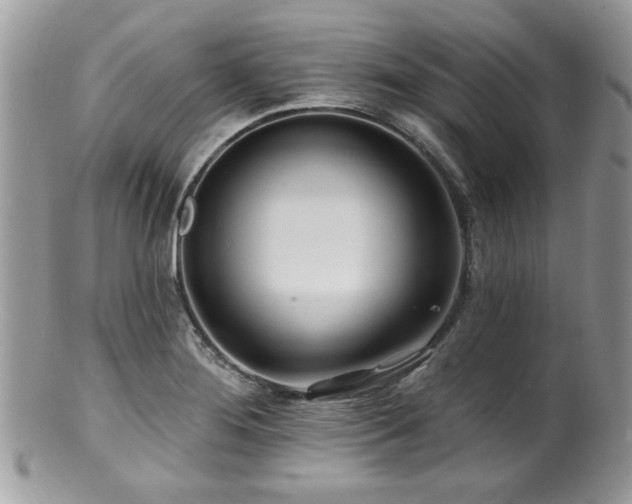 X0000100841276200806201142