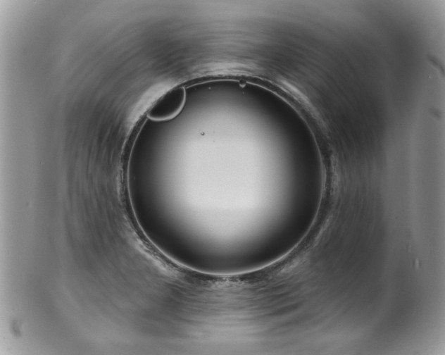 X0000100841277200806201142