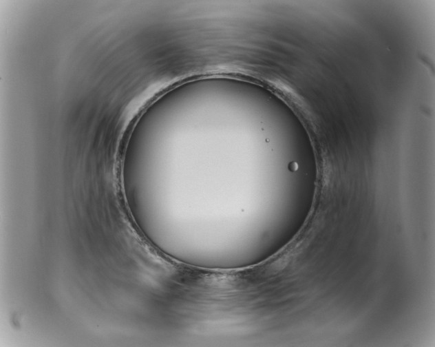 X0000100841278200806201142