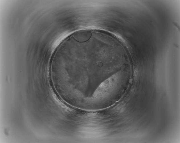 X0000100841279200806201142